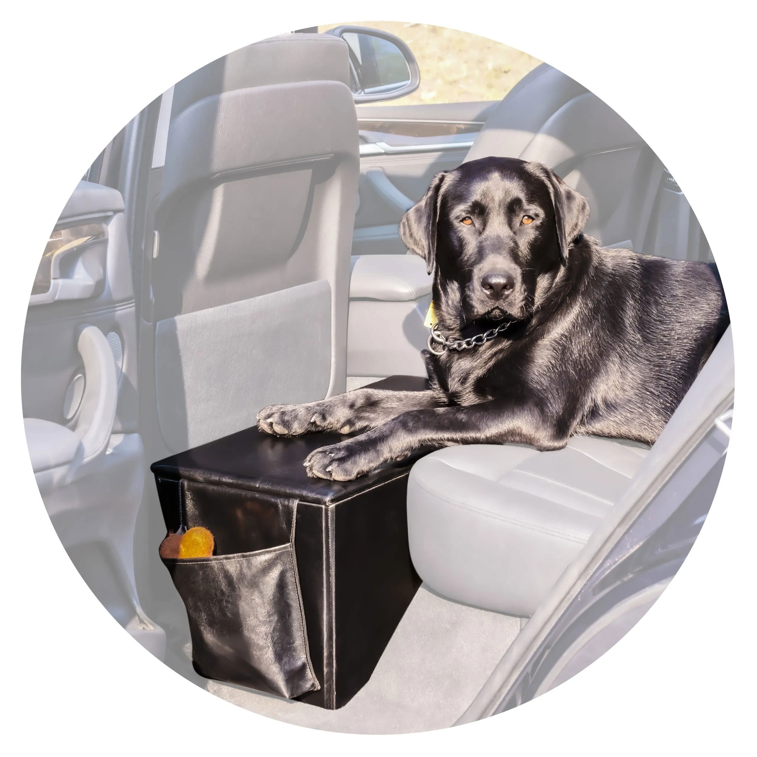 Back Seat Extender for Dogs, Car Dog Bed for Backseat, Back Seat Dog