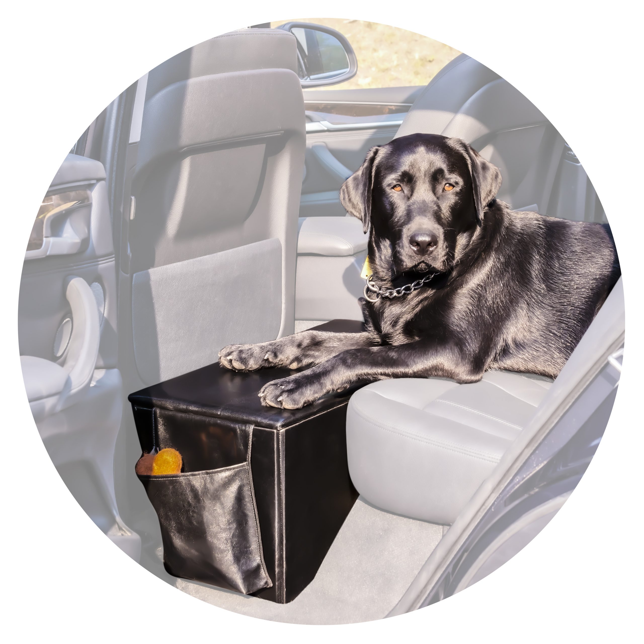 Quilted Pet Seat Extender with Storage